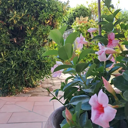 Biancolilla House Διαμέρισμα Rosignano Solvay